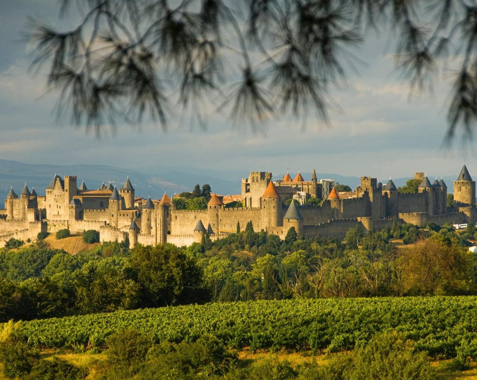 Ma Pierre A L'Edifice, Face A La Cite Vue Sublime, Studio Avec Terrasse Carcassonne Buitenkant foto
